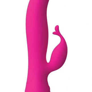 Swan: The Kissing Swan