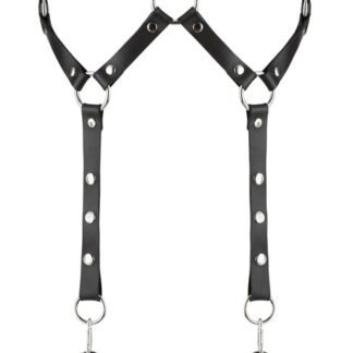 Fetish Harness
