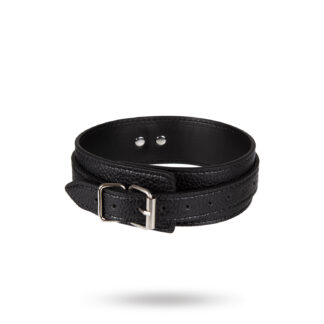 Halsband med koppel - svart