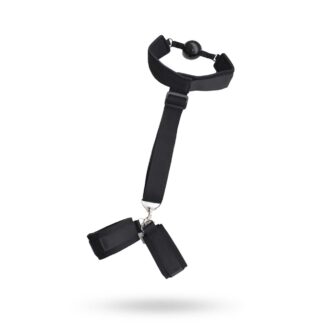 TOYZ4LOVERS Back Restraint + Gag