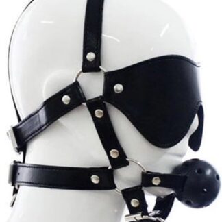 TOYZ4LOVERS Total Head Harness Restraint