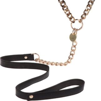Taboom Statement Collar & Leash