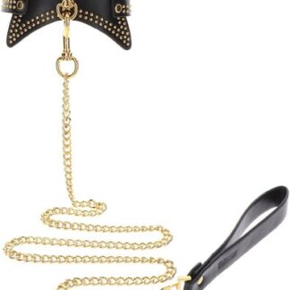 Taboom Studded Collar & Leash