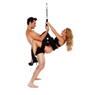 Whipsmart - The Pleasure Swing
