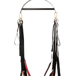 Bad Kitty Sex Swing