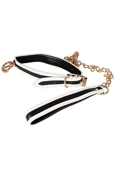 Glow-in-the-Dark Collar with Leash