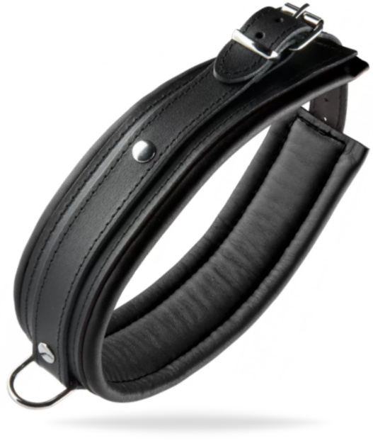 Halsband Läder