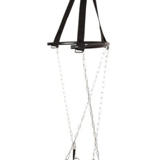 Hot Rockin Swing