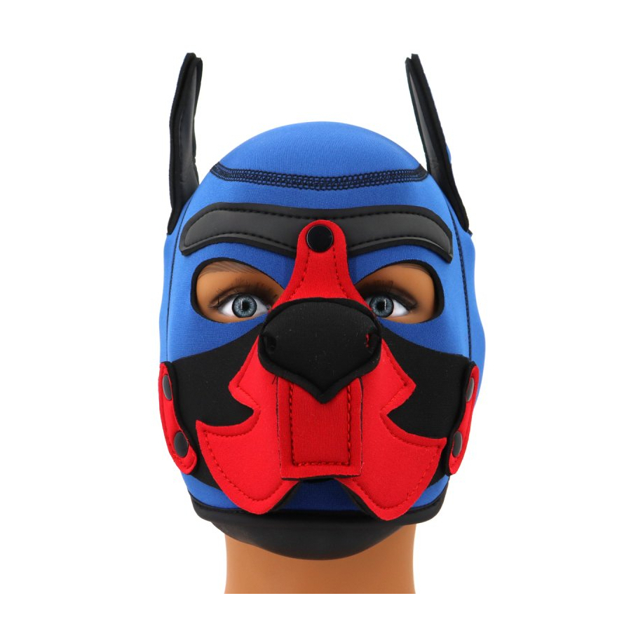 Puppy Fox Neoprene Hood Blue-Red