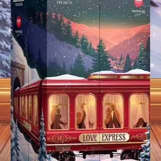 Satisfyer Advent Calendar Premium 2026