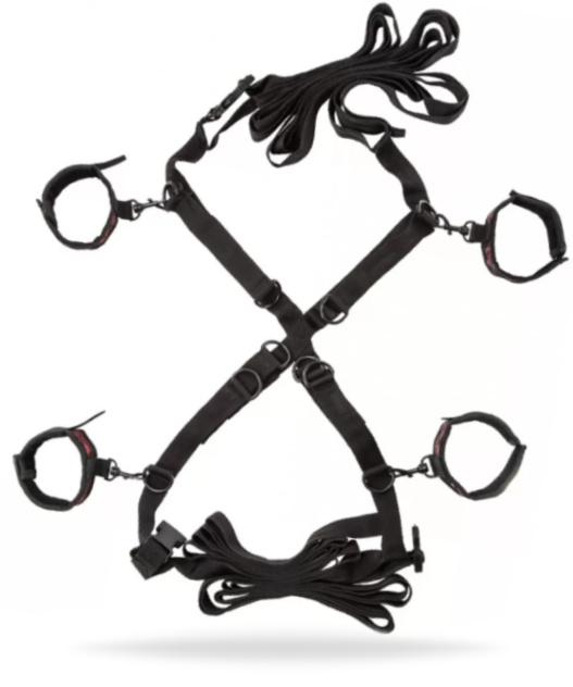 Scandal Over The Bed Cross
