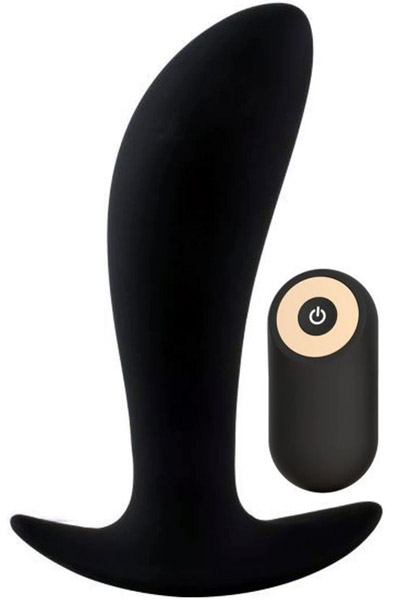 Secret Lover Anal Vibrator
