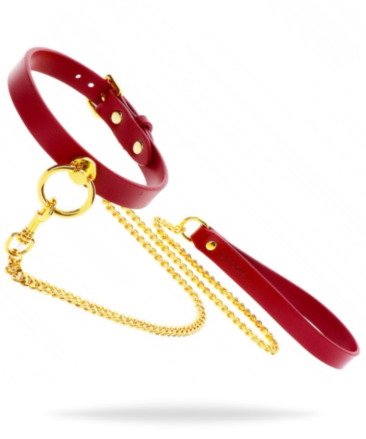 Taboom O-Ring Collar and Chain Leash